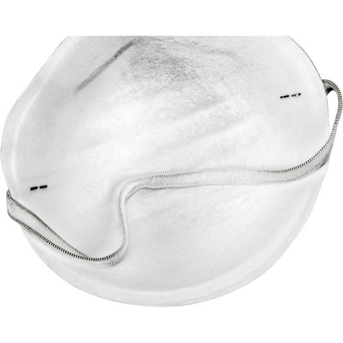 Disposable Nuisance Dust Mask